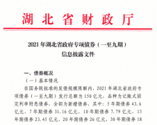 新增地方债要来了！湖北“首发”250亿，二季度有望“大放水”，新基建项目或