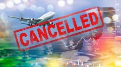 突发！30%航班紧急取消，发生了什么？一则消息引爆，2600亿新能源巨头狂飙！